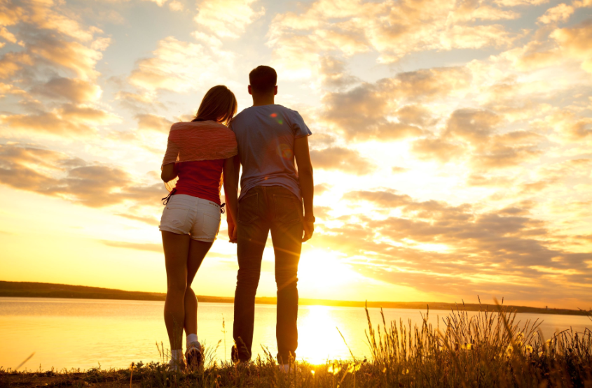 The Search for the Perfect Partner